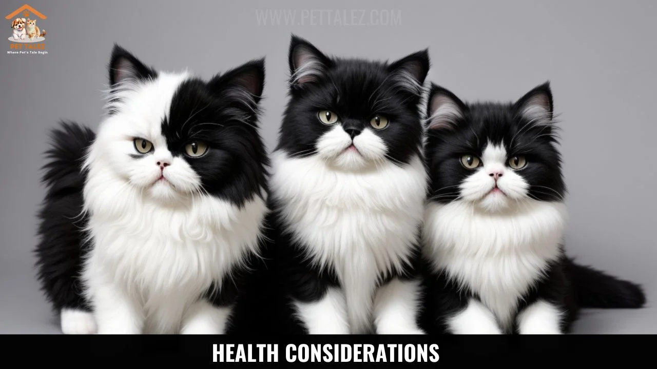 Health Considerations