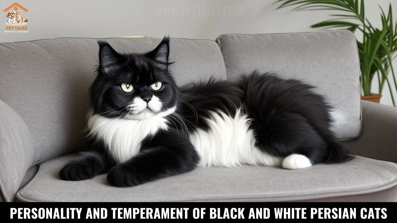 Personality and Temperament 